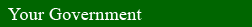 Your Government