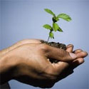 Life Insurance